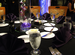 Tadori Events