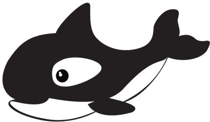 killer whale