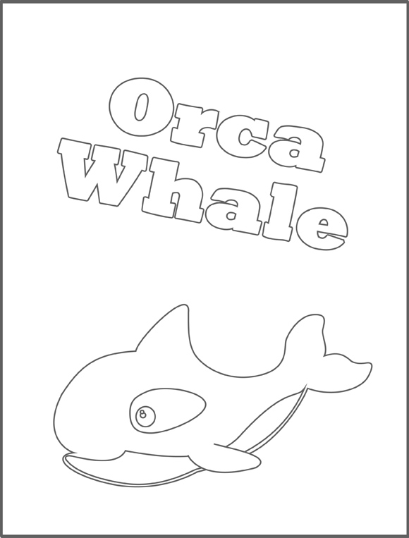 color the whale